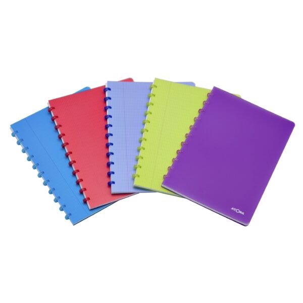 Schrift Atoma A4 blanco 144blz 90gr PP transparant assorti | 10 stuks
