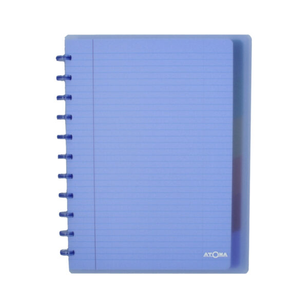 Schrift Atoma A4+ ruit 5x5mm 120blz 90gr PP transparant assorti