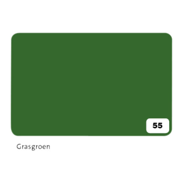Fotokarton Folia 2-zijdig 50x70cm 300gr nr55 grasgroen | 10 stuks