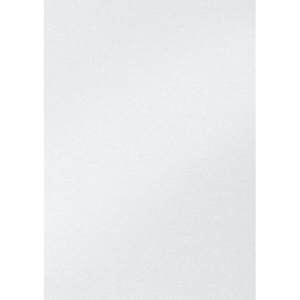 Fotokarton folia 2z 50x70cm 250gr parelm nr00 wit
