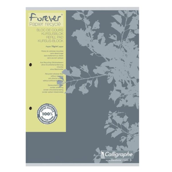 Cursusblok Clairefontaine Forever Calligraphe A4 ruit 5x5mm 2-gaats 200 pagina&apos;s 70gr grijs