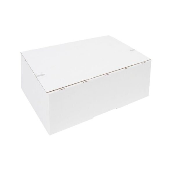 Postpakketbox IEZZY 2 200x140x80mm wit | 5 stuks