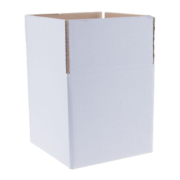 Kartonnen dozen enkelegolf 165 x 165 x 155 mm wit | 30 stuks